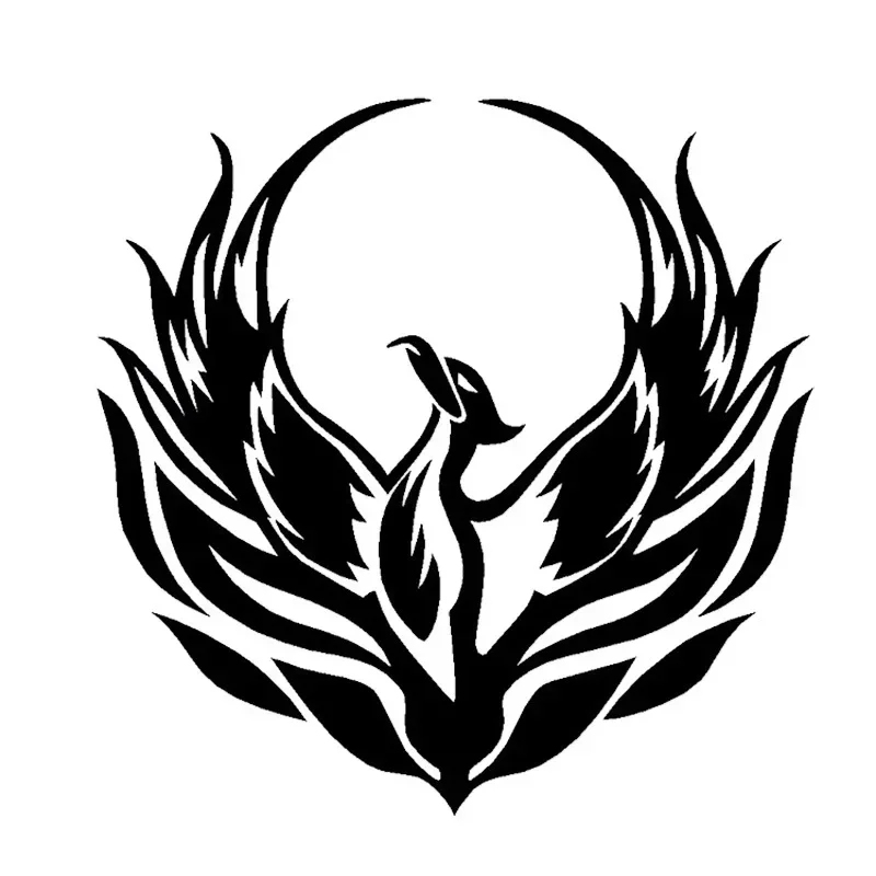 Flame Fire Phoenix Cool Car St - Car Accessories Phoenix recension och pris