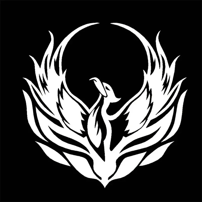 Flame Fire Phoenix Cool Car St - Car Accessories Phoenix recension och pris